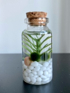 My new product image